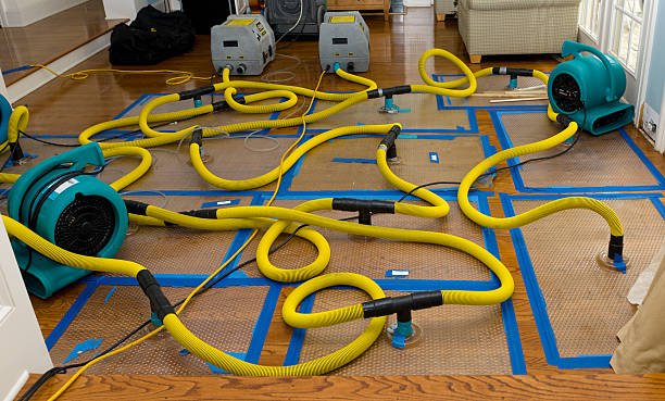 Professional Structural Drying And Dehumidification technician working in Oswego, KS